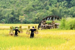 Về miền cổ tích non nước Cao Bằng